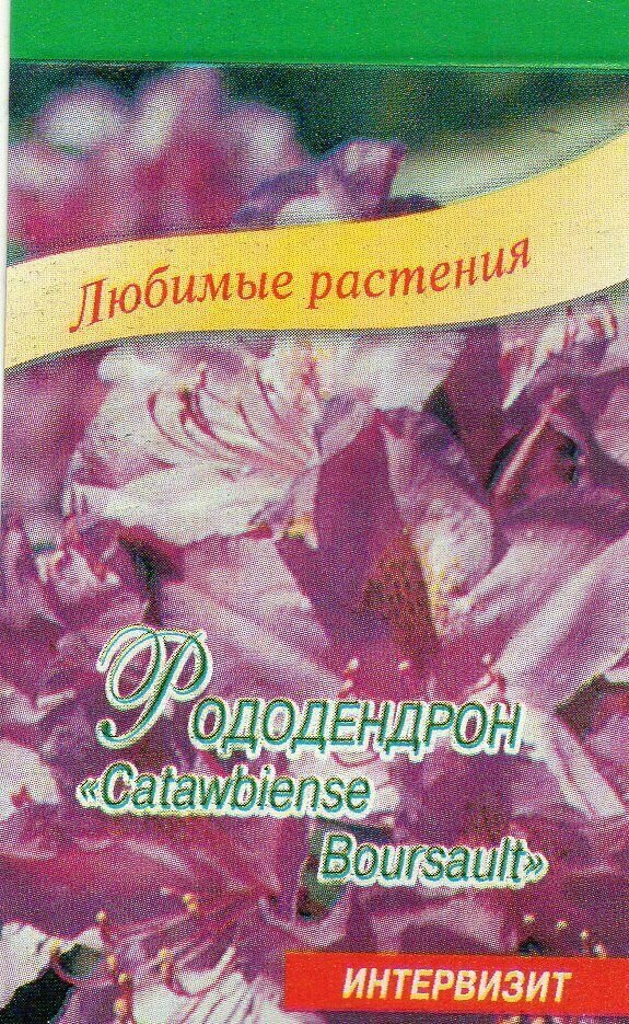 Рододендрон "Catawbiense Boursault" семена