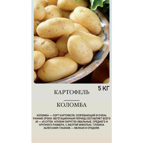 коралловый