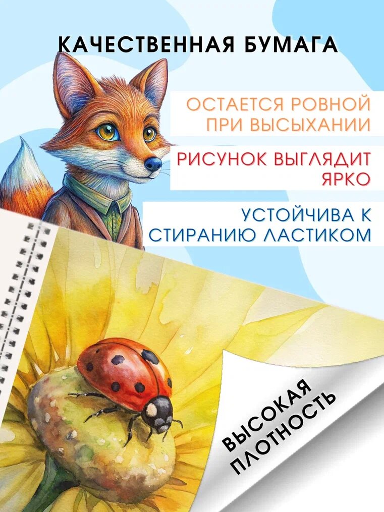 Альбом для рисования AXLER на пружине / на кольцах, 40 листов, А4, 2 шт. — фото 1