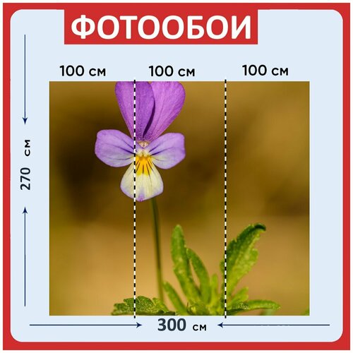 Фотообои Фиолетовый цвести цветок 300x270 см флизелиновыена стену 3940₽
