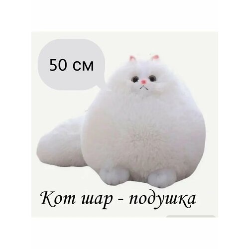 Персидский Кот Шар Беляш