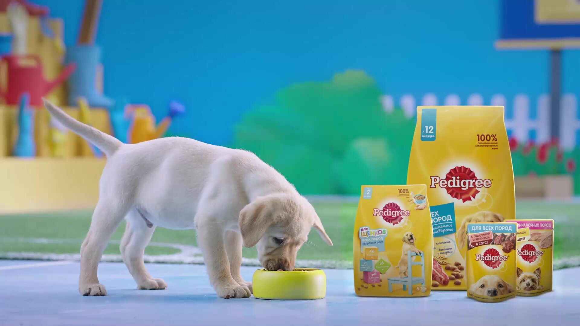 Сухой корм PEDIGREE® для собак крупных пород, с говядиной, 13 кг — фото 1