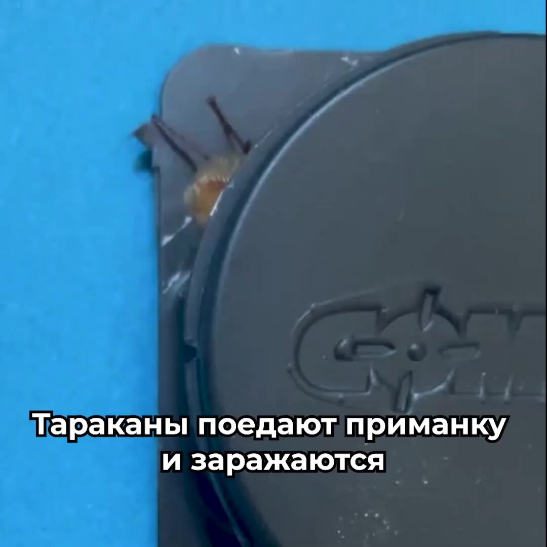 Эффективное средство отрава от тараканов, ловушки для тараканов Комбат 1 упаковка 6 шт — фото 1