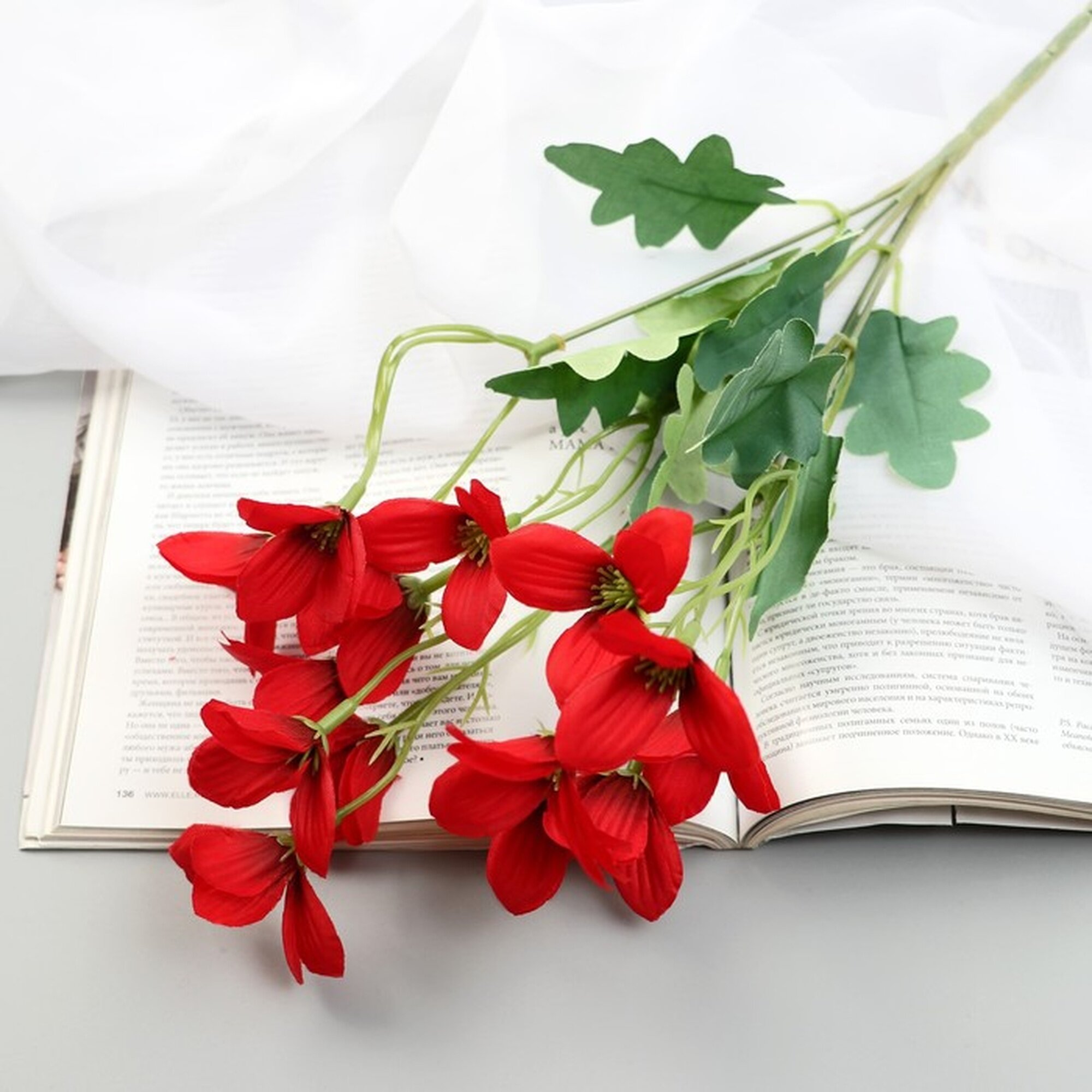 Букет «Фрезия» 4×29 см микс