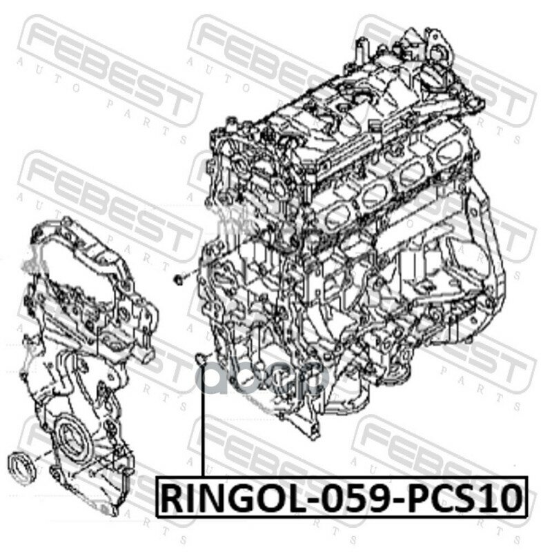 Кольцо уплотнительное масляной системы Febest арт. RINGOL059PCS10 — фото 1