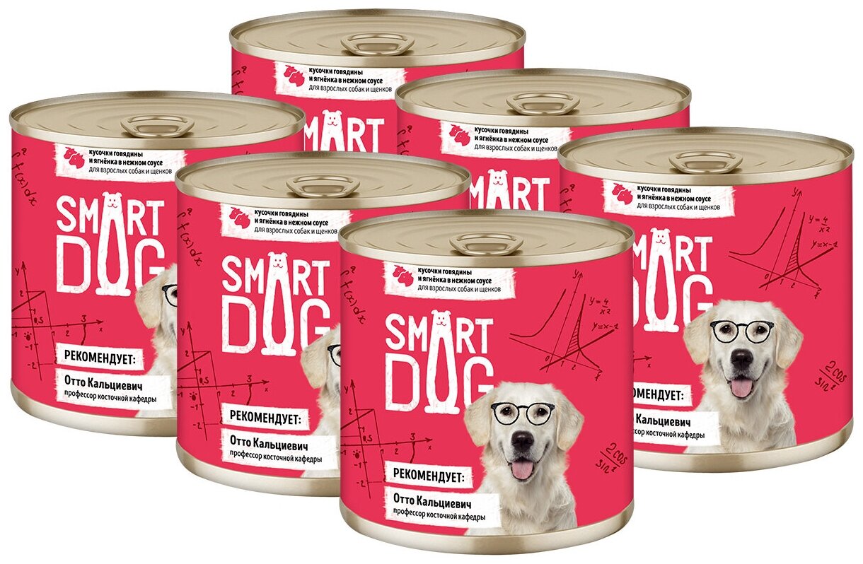 SMART DOG            (850   6 )