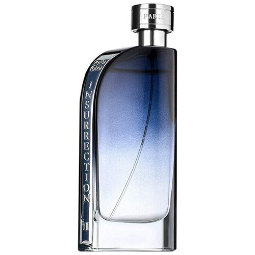 Reyane туалетная вода Insurrection II Pure Extreme, 90 мл