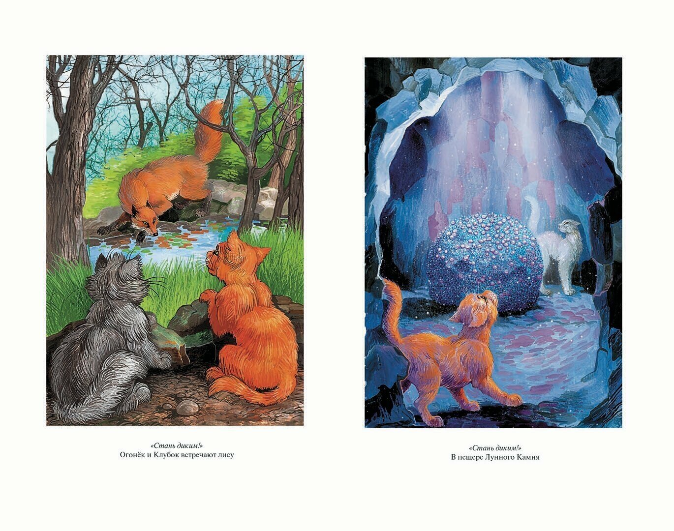 Книга Коты-воители. Стань диким! Огонь и лед - фото №8