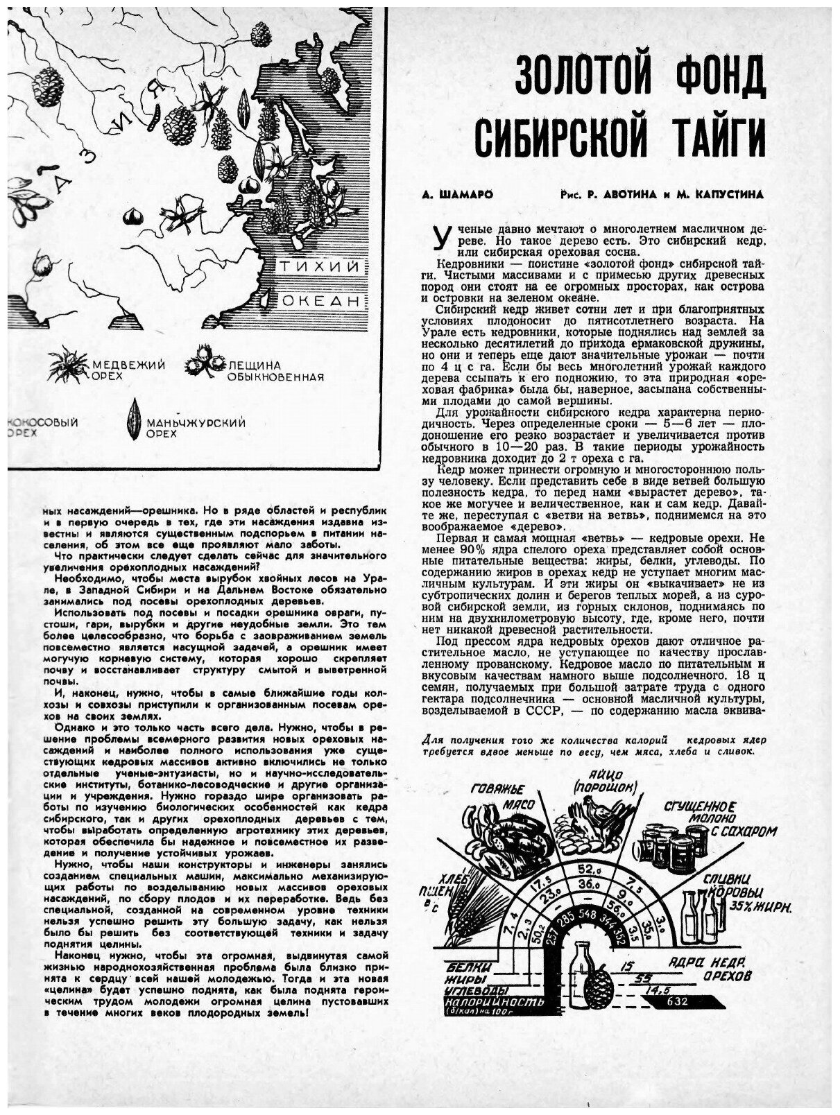 Журнал "Техника молодежи". № 06, 1958 - фото №3