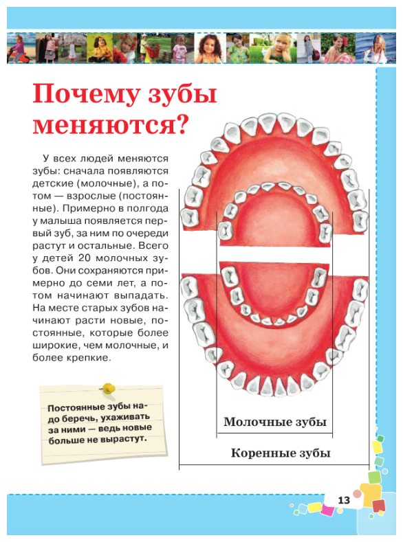 Первая энциклопедия для девочек - фото №8