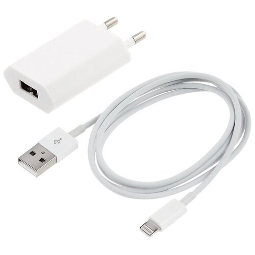 Сетевое зарядное устройство 5W USB Type-A Power Adapter 1 USB с кабелем Lightning, белый