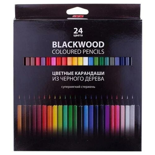 Hatber цветные карандаши BLACK DIAMOND, 24 цвета (BKc_24830), 24 шт. hatber цветные карандаши машинки 24 цвета кс24 04