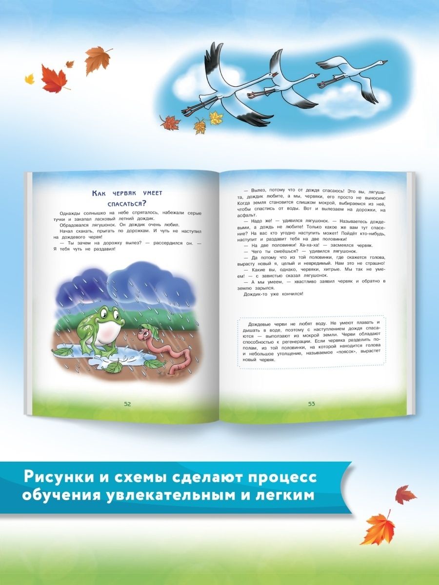 Книга Энциклопедия для малышей в сказках. Продолжение: все, что ребенок должен узнать д... - фото №5