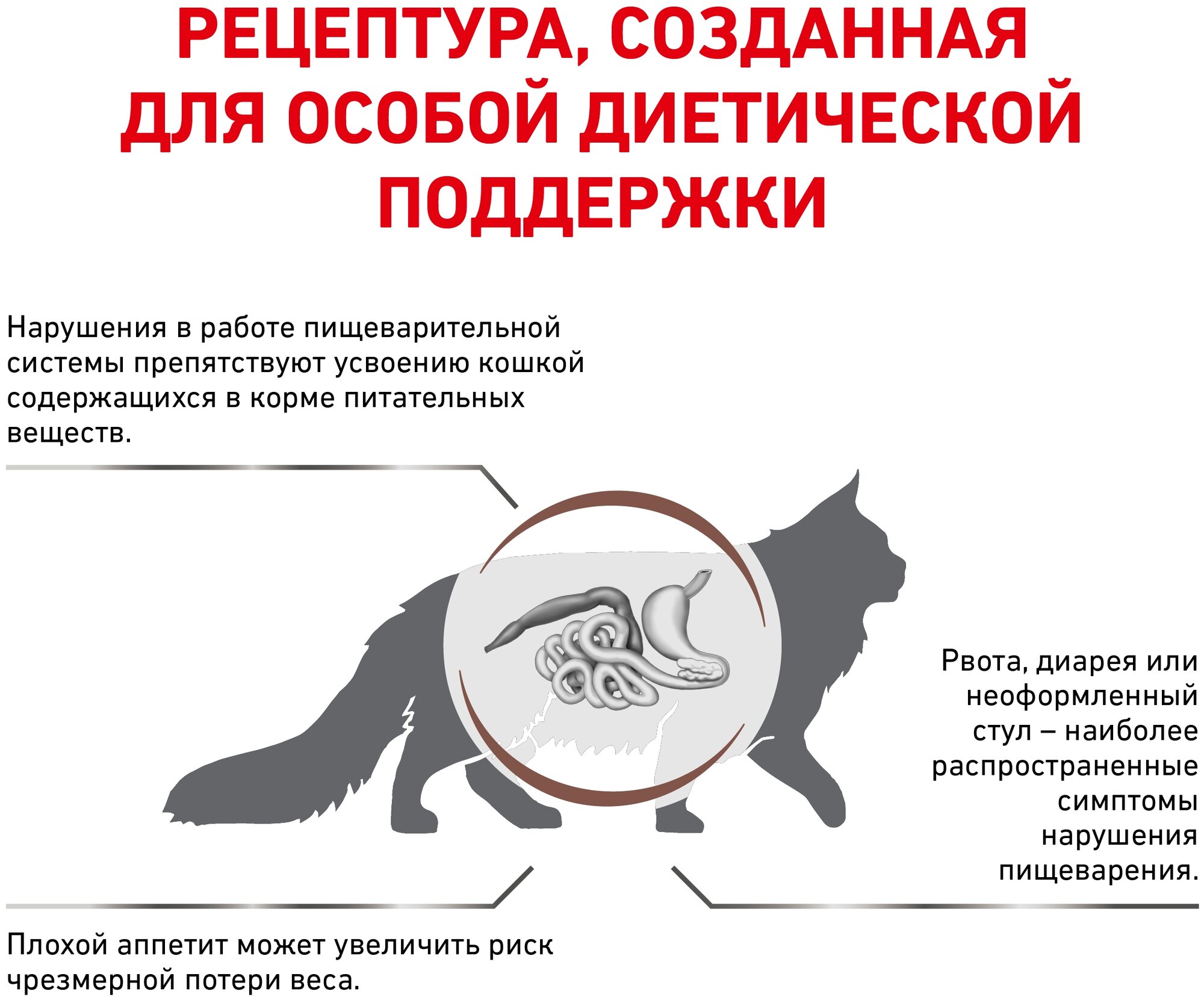 Royal Canin Gastro Intestinal Корм сухой диетический для взрослых кошек при расстройствах пищеварения, 2 кг - фотография № 2