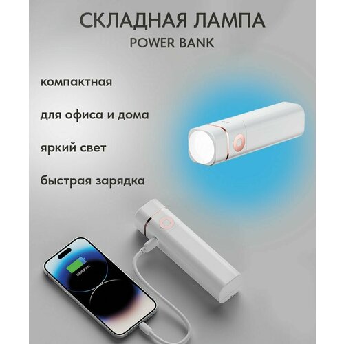 PowerBank Паурбанк внешний аккумулятор со выдвижной лампой для чтения 2600 мАч 86100₽