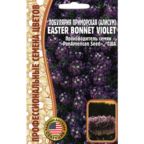 Лобулярия Приморская (Алиссум) Easter bonnet violet ( 1 уп: 20 семян )