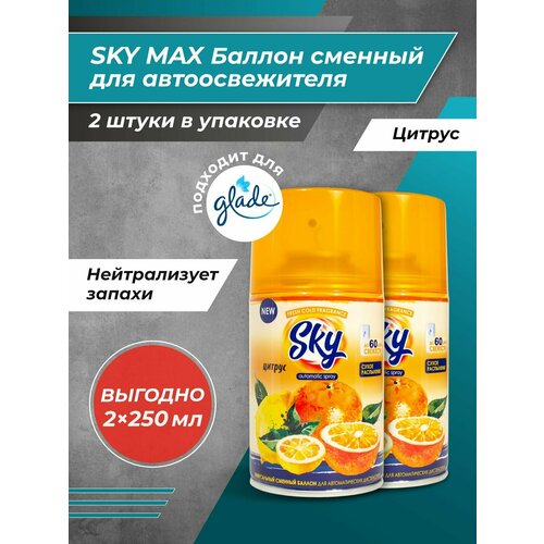 Освежитель воздуха SKY MAX сменный баллон