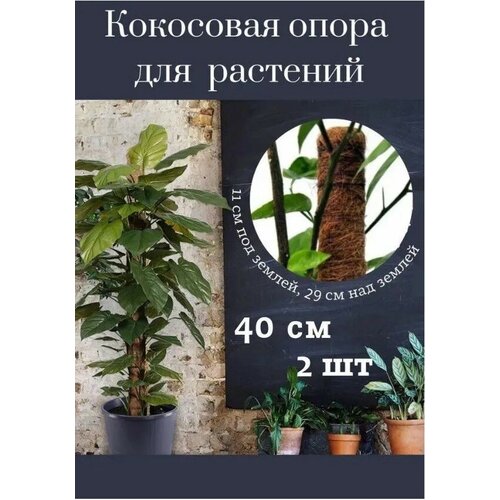 Кокосовая опора держатель для растений в кокосовой оплетке , 40 см , 2 шт опора для растений коковита из кокосового волокна 60см d 5см
