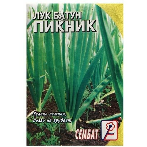 Семена Лук батун Пикник, 1 г 20 упаковок семена лук аэлита батун семилетка 1 г 10 упаковок