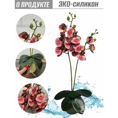 Орхидея из ЭКО-силикона - 55 см