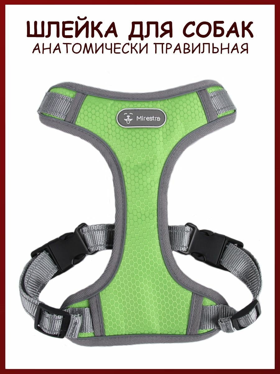 Анатомическая шлейка для собак Mirestra прогулочная светоотражающая — фото 1