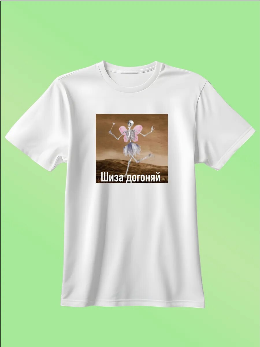 Футболка Zerosell прикольная с мемом шиза догоняй