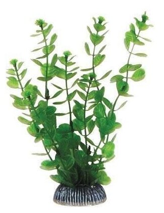 1990P Растение пласт 20см зелёное Бакопа 8