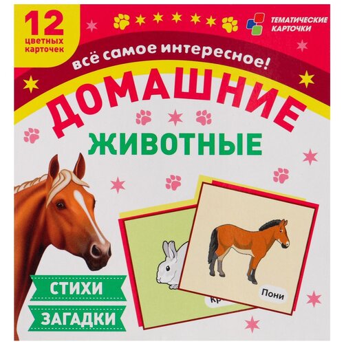 Книга Учитель Домашние животные, 10х9.4 см