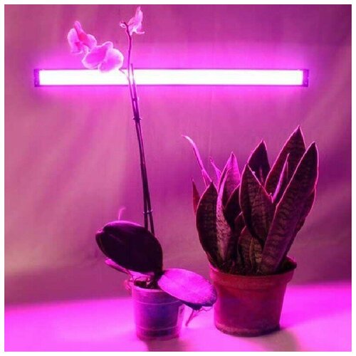 Светильник для растений, фито LED лампа