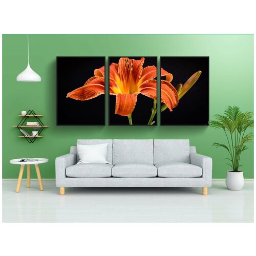 фото Набор модулных постеров для интерьера "цветок, апельсин, чернить" 60x90 см. в тубусе, без рамки lotsprints