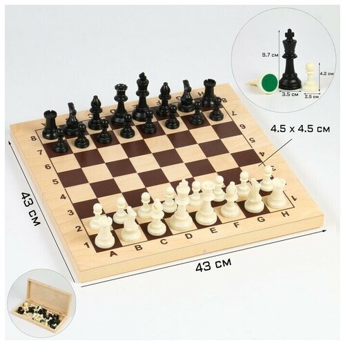 Шахматы гроссмейстерские 43х43 см, фигуры пластик, король h=9.7 см, пешка 4.2 см