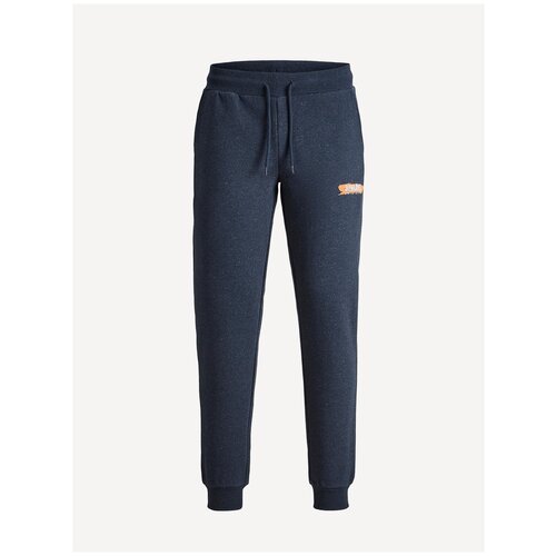 фото Jack & jones, брюки мужские, цвет: темно-синий, размер: s