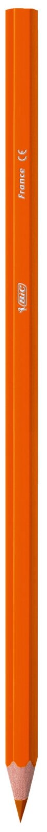 Карандаши цветные Bic Тропикулер 2 12 цв. пластик. - фото №9