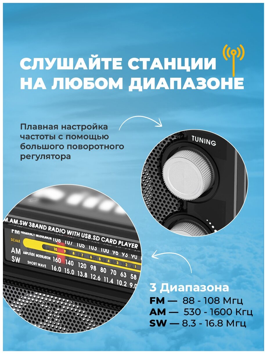 Радиоприемник Ritmix RPR-202