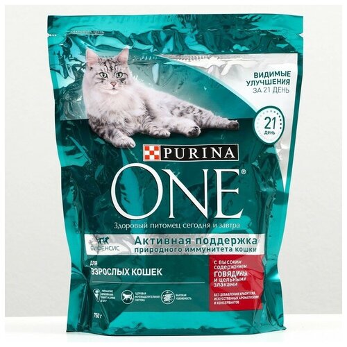 Purina Сухой корм ONE для кошек, говядина с цельными злаками, 750 г