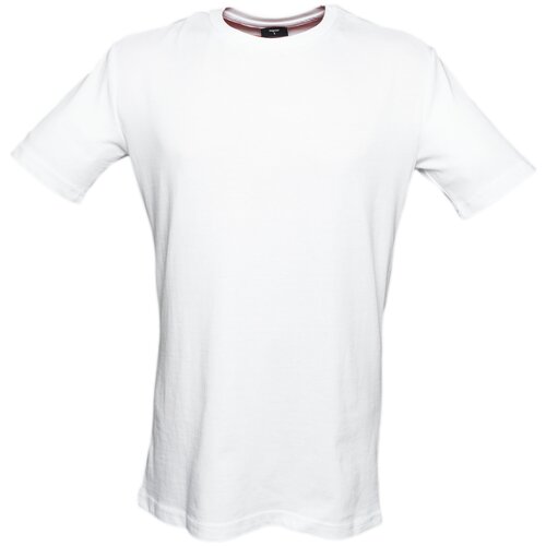 Мужская хлопковая футболка BEAR’S GEAR Regular