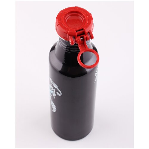 Фляжка из нержавеющей стали THERMOS Roho IS4560TN6, 700 ml