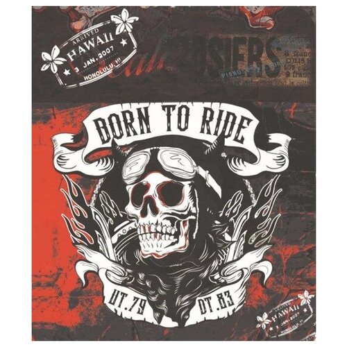 MASTER Professional, Пеньюар Born to Ride (череп)