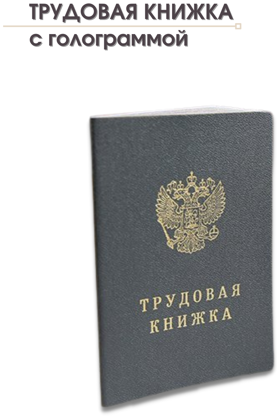 Бланк Трудовая книжка РФ с голограммой серия ТК-VI, Гознак — купить в ...
