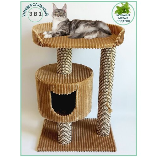 Домик для кошки когтеточка игровой комплекс для кошек Маркиза-5