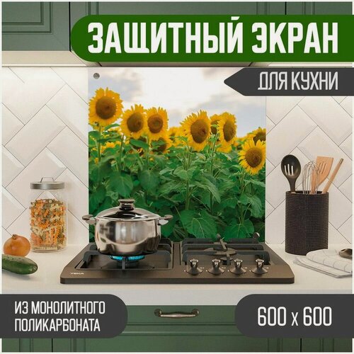 Изображение товара Защитный экран из акрилового стекла (поликарбонат) на кухонный фартук в зону мойки и плиты с фотопечатью. Панель на стену с рисунком Цветы 600 х 600 х 3 мм, 600-057-1