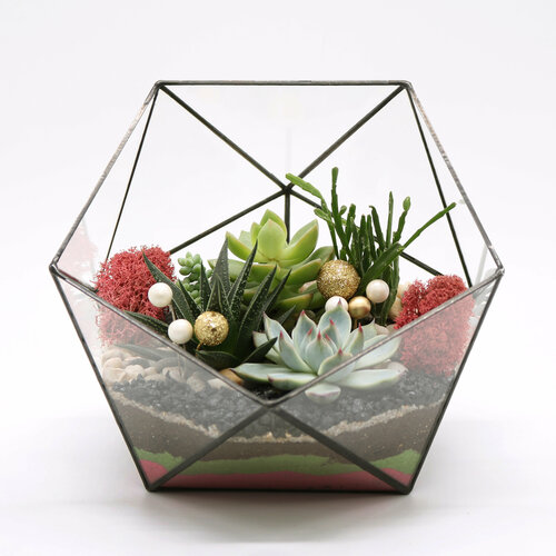 Флорариум с суккулентами и золотым декором 