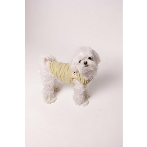 Летний жилет для домашних животных кошек и собак, одежда для средних и мелких пород