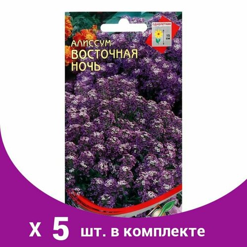 Семена цветов Алиссум 'Восточная ночь', 150 шт (5 шт)