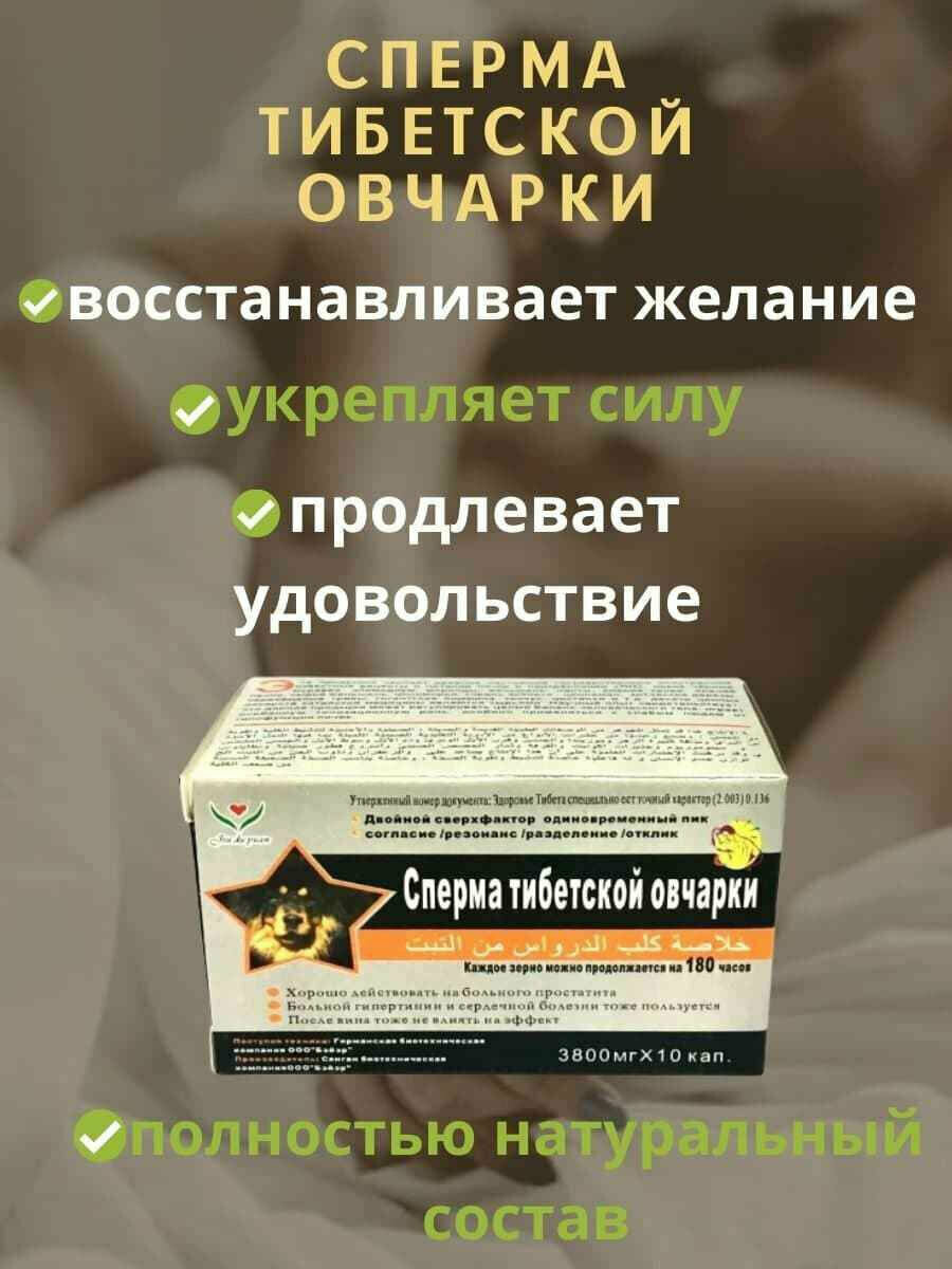 Сперма тибетской овчарки сильные таблетки для потенции 10 капс