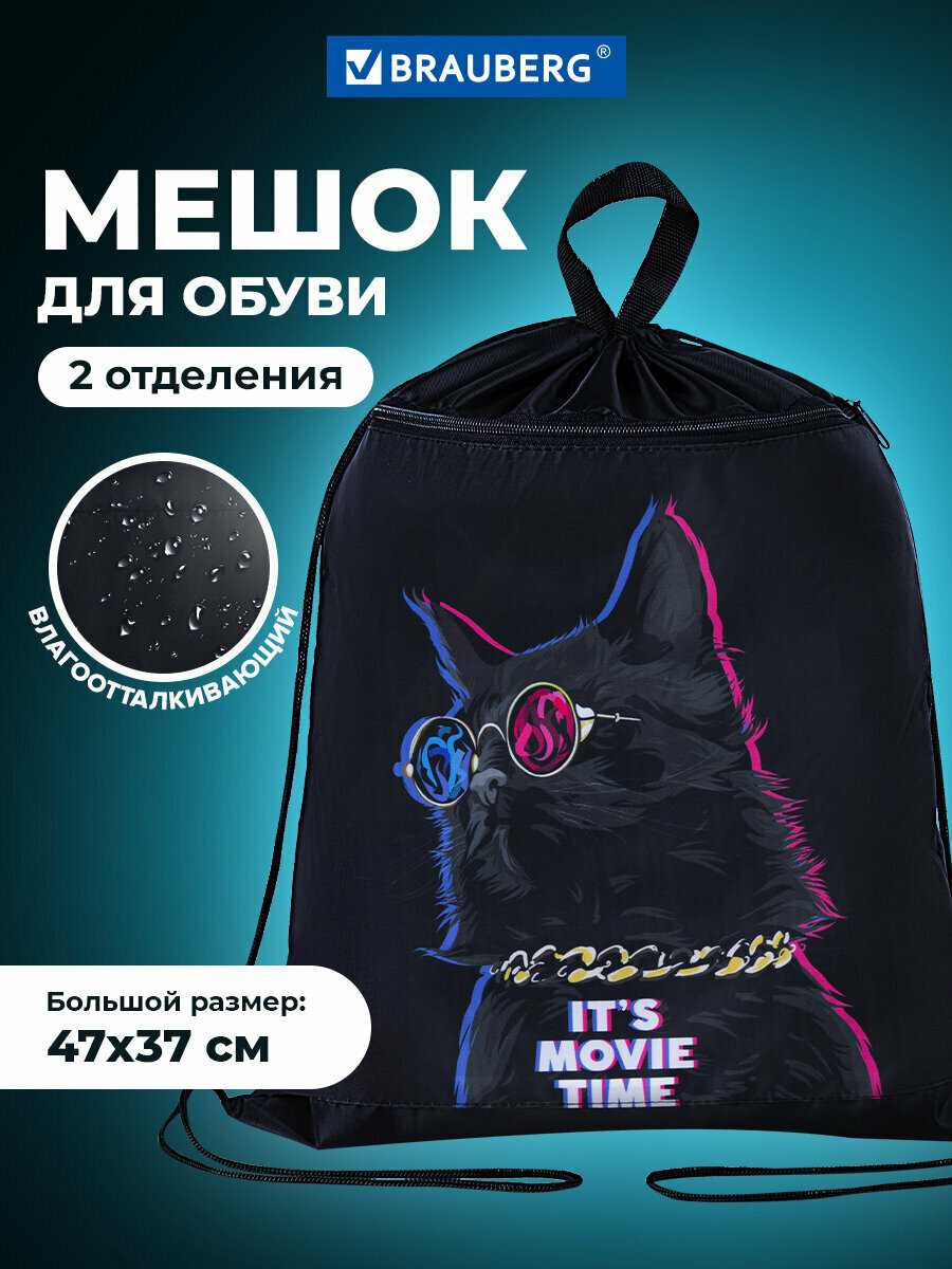 Мешок для обуви Brauberg с петлёй карман на молнии полиэстер 47х37 см Movie time 270910