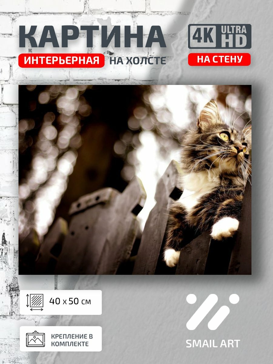 Картина на холсте интерьерная 40 на 50 на стену Заборе Animal для детской animal style