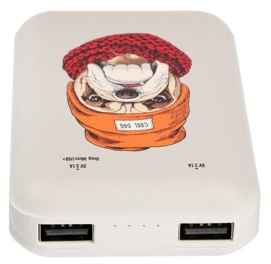 882144 Внешний аккумулятор Ritmix Power Bank RPB-10007 10000mAh Bulldog