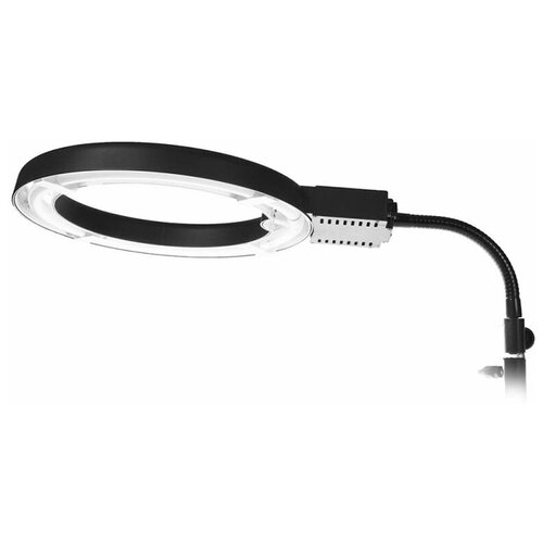 Студийный свет Falcon Eyes FLC-40 14775 495800₽