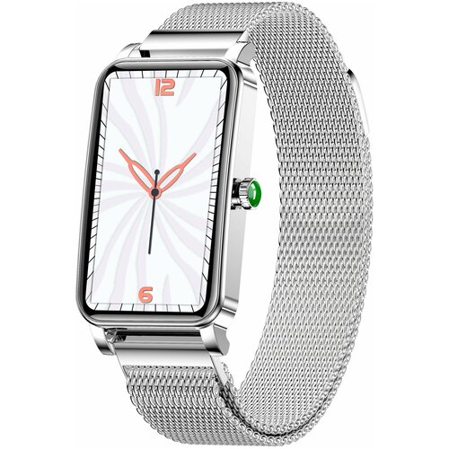 BandRate Smart BRSZX19SS 790500₽